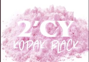Kodak Black 2'CY Mp3 Download